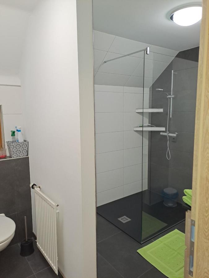 Ferienwohnung Schmaranzer غوساو المظهر الخارجي الصورة