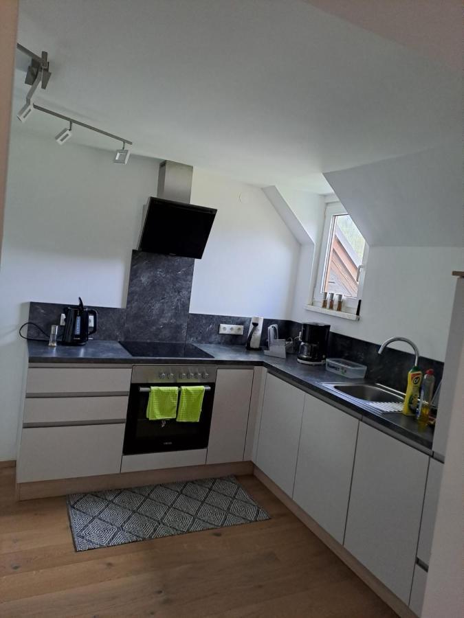 Ferienwohnung Schmaranzer غوساو المظهر الخارجي الصورة