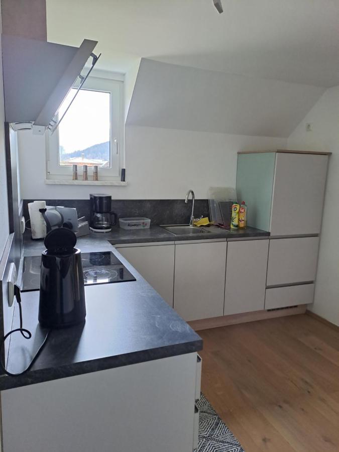 Ferienwohnung Schmaranzer غوساو المظهر الخارجي الصورة