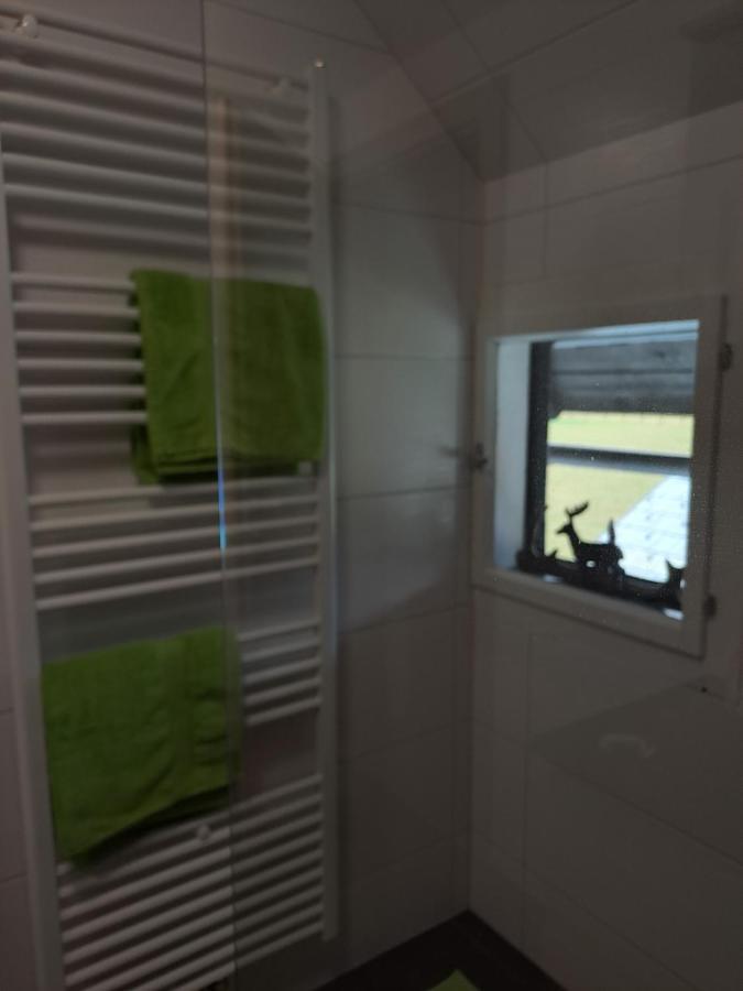 Ferienwohnung Schmaranzer غوساو المظهر الخارجي الصورة