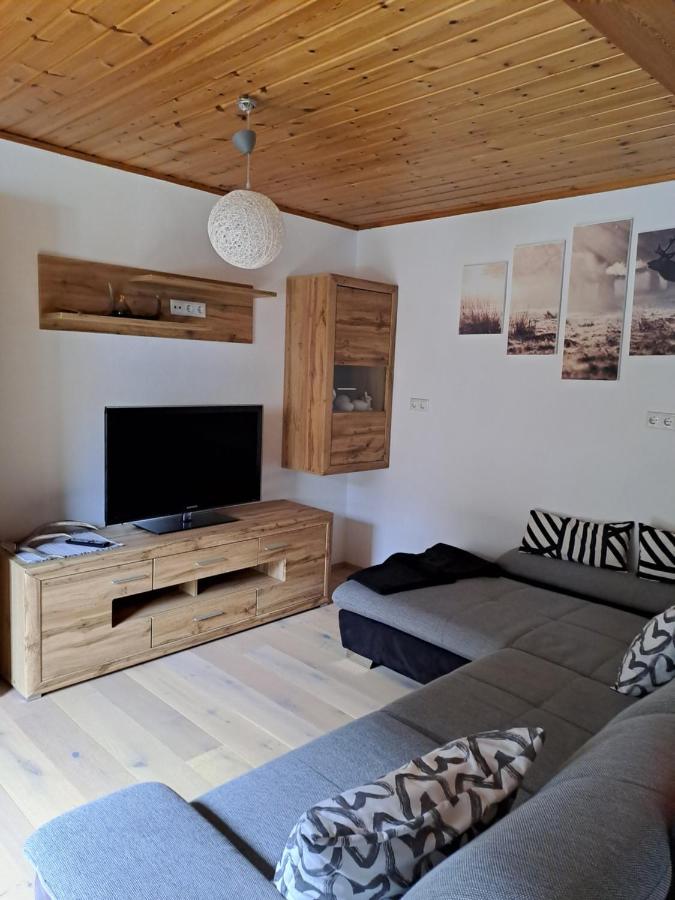 Ferienwohnung Schmaranzer غوساو المظهر الخارجي الصورة