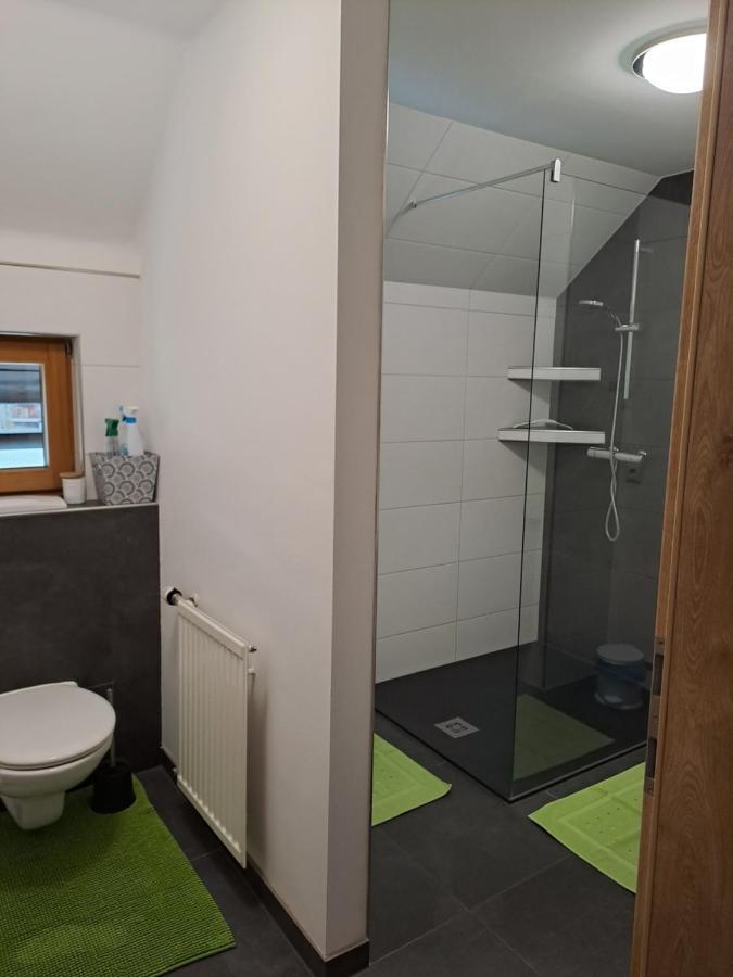 Ferienwohnung Schmaranzer غوساو المظهر الخارجي الصورة